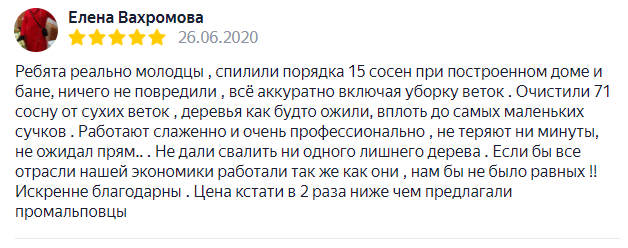 Отзыв корчевание участка 4